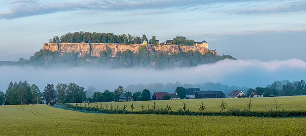 Wandbild | Festung Königstein überm Nebelmeer - Frühling